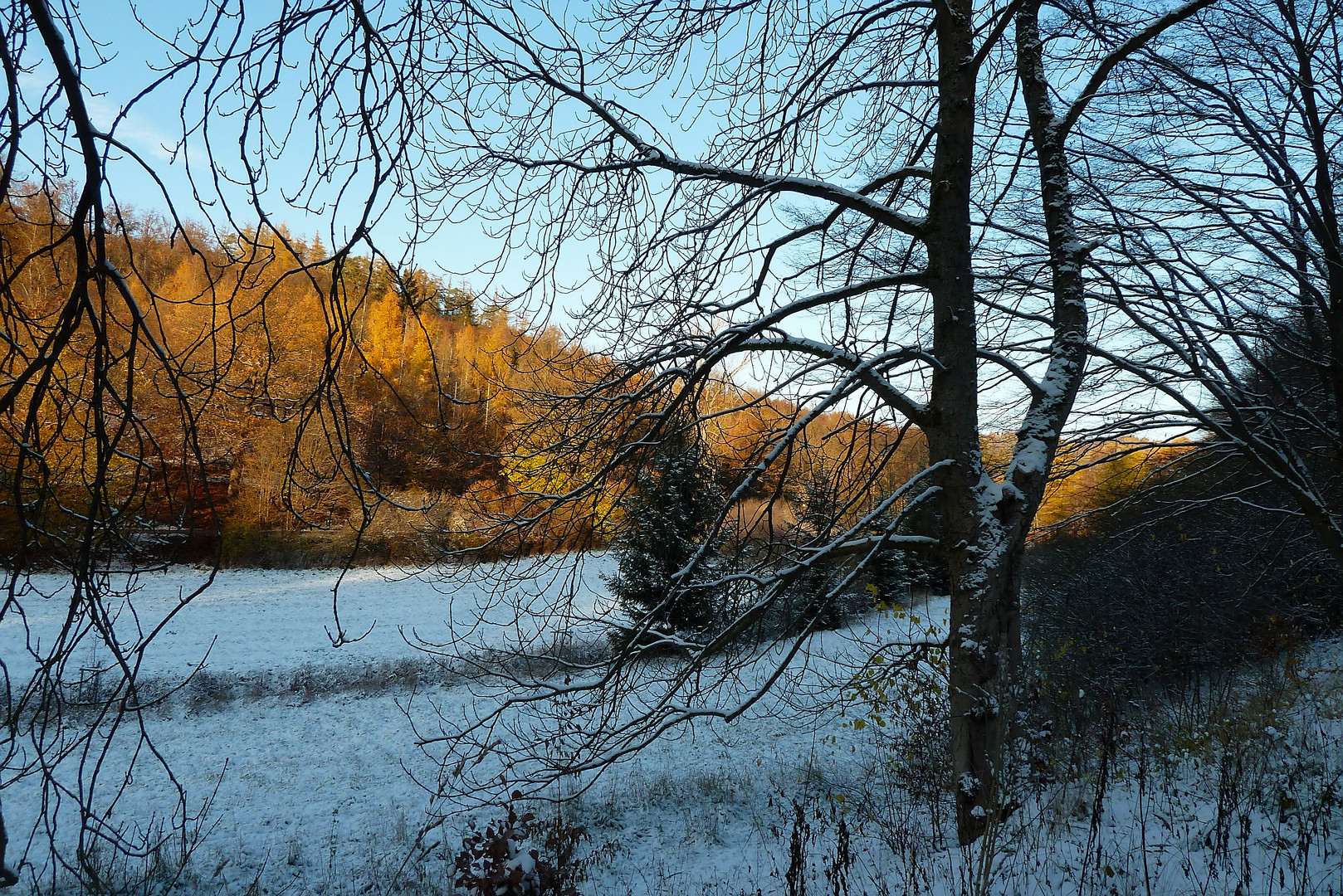 Erster Schnee im Bärenbachtal1