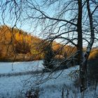 Erster Schnee im Bärenbachtal1