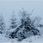 Erster Schnee im Bayerischen Wald