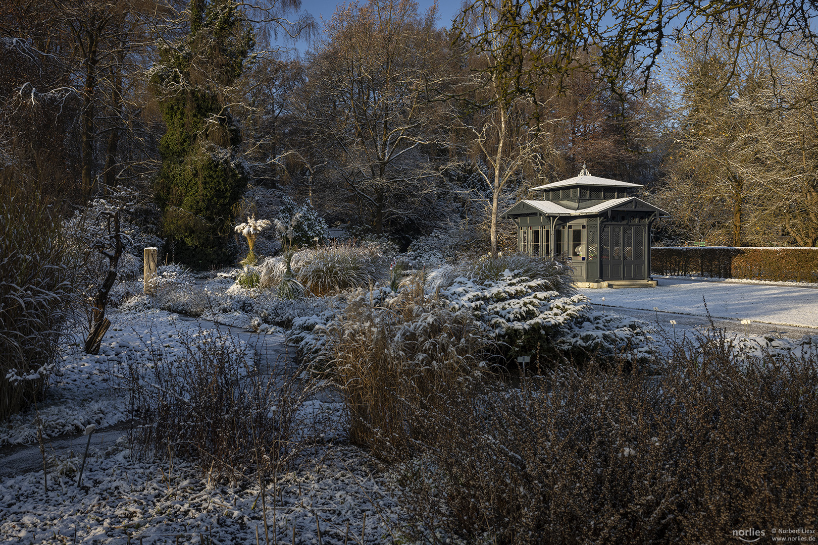 Erster Schnee im Botanischen Garten