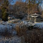 Erster Schnee im Botanischen Garten