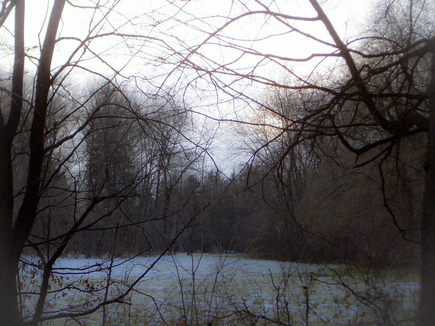 erster schnee im englischen garten münchen 2010