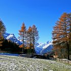 erster Schnee im Gschnitztal