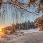 Erster Schnee im neuen Jahr