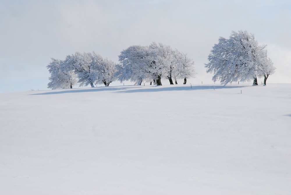 Erster Schnee im Oktober