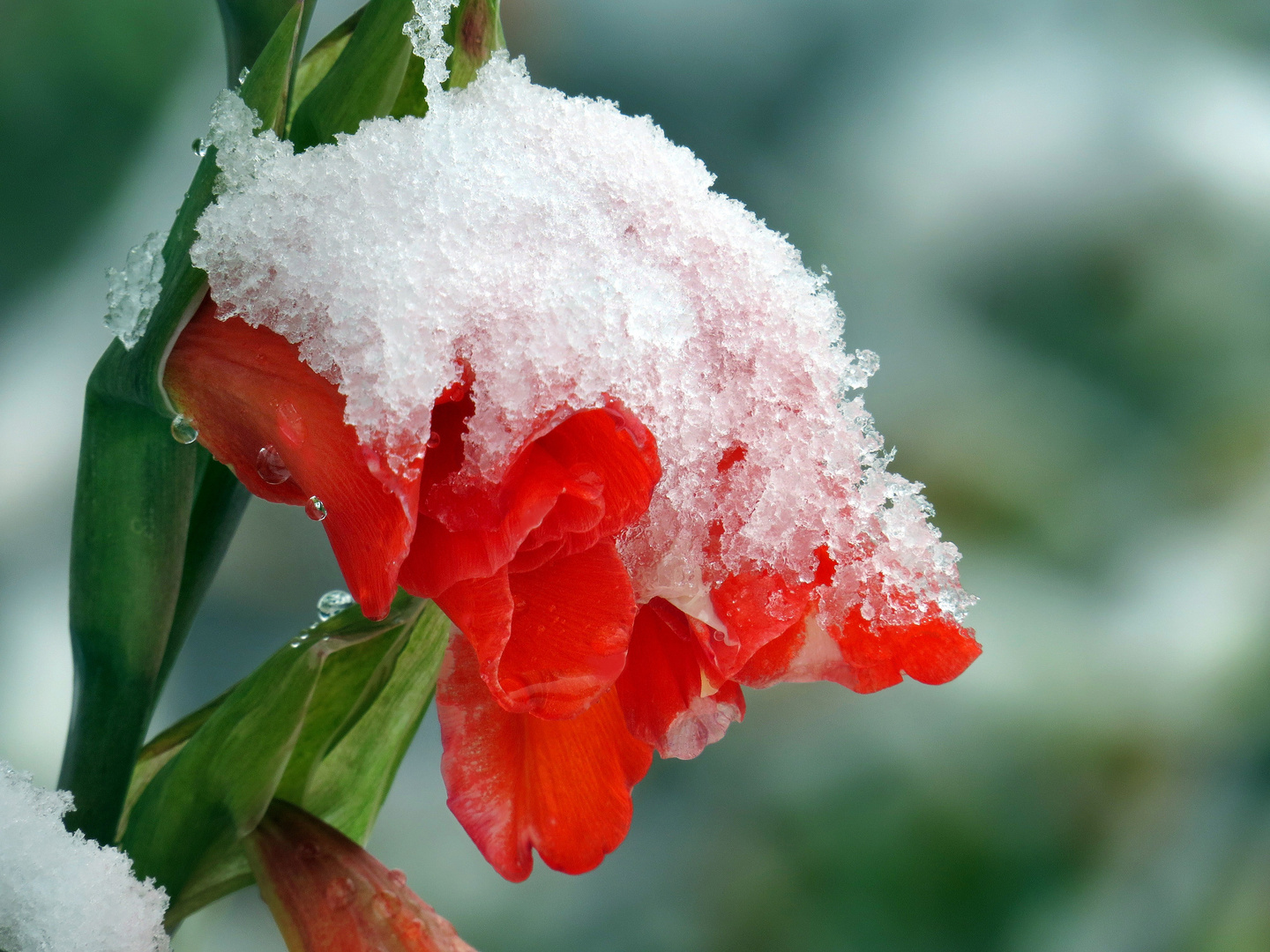 Erster Schnee im Sauerland