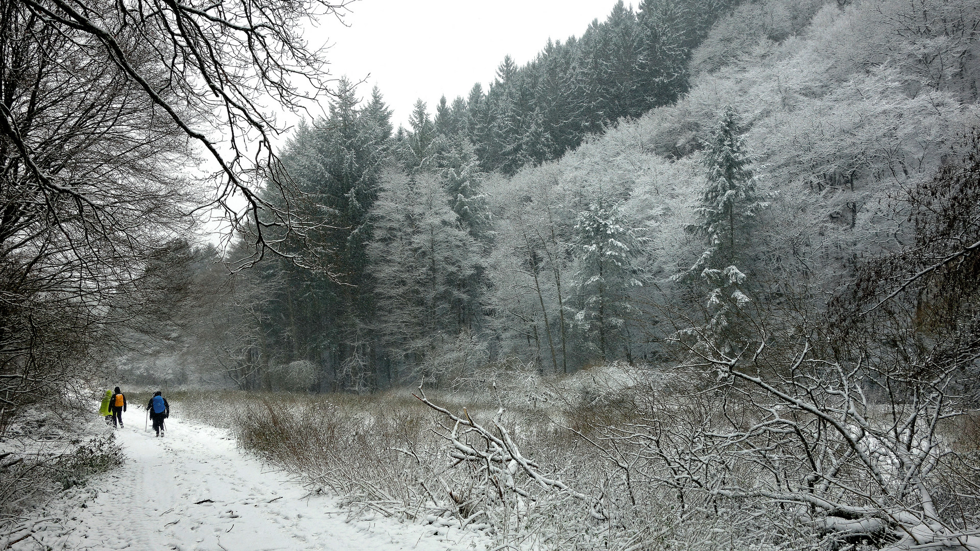 Erster Schnee im Vischeltal