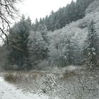 Erster Schnee im Vischeltal