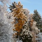 Erster Schnee in 2010