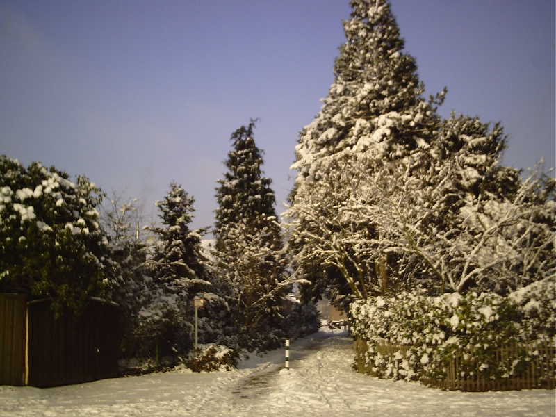 Erster Schnee in 2010 am Niederrhein (2)