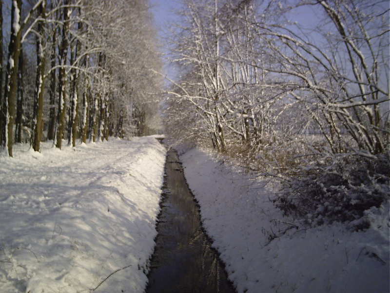 Erster Schnee in 2010 am Niederrhein (3)