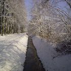 Erster Schnee in 2010 am Niederrhein (3)