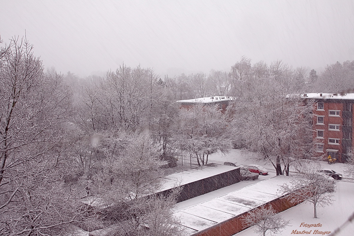 Erster Schnee in 2018 (3)