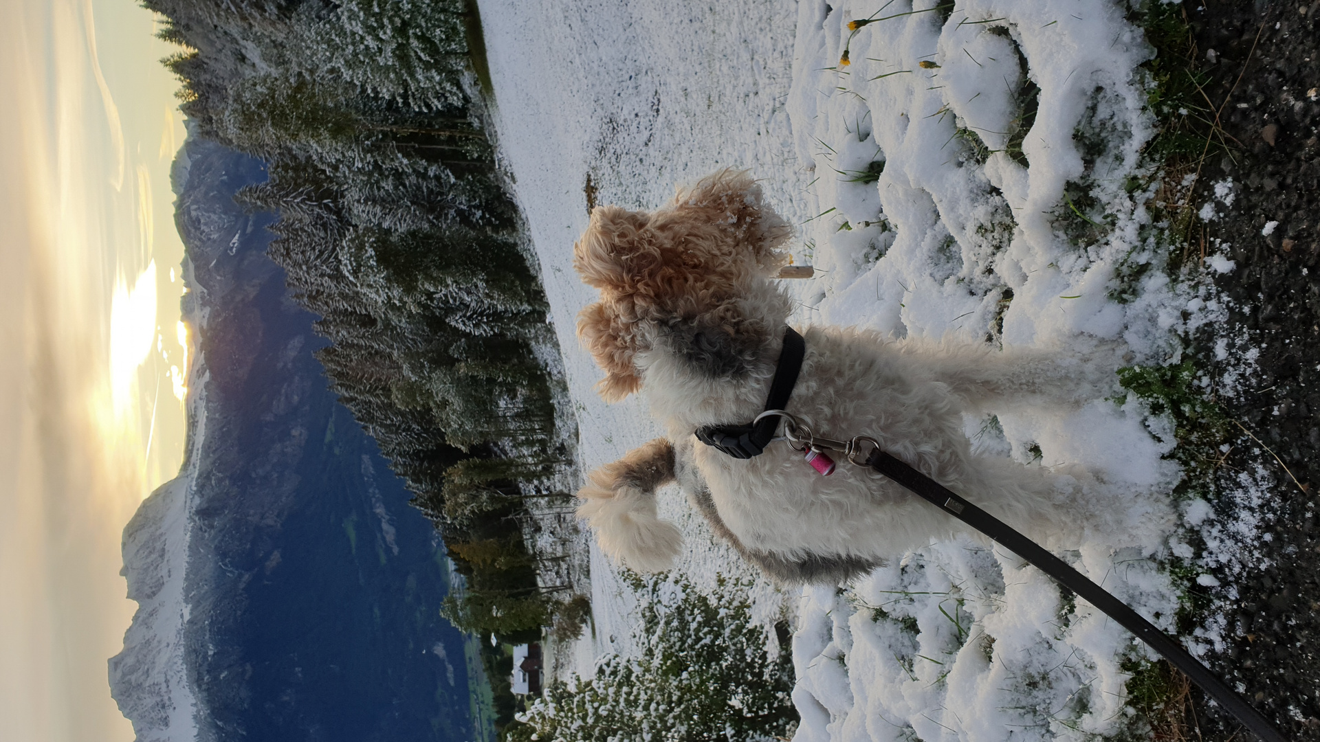 Erster Schnee in den Bergen 