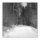 Erster Schnee in der fränkischen Schweiz