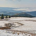 erster Schnee in der Rhön