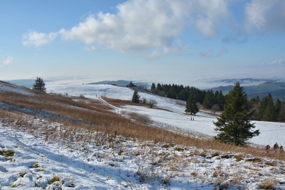 erster Schnee in der Rhön