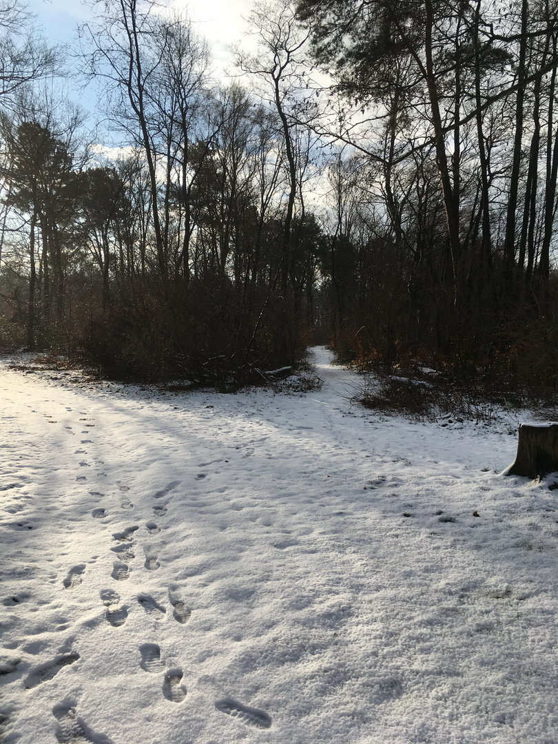 Erster Schnee in diesem Jahr