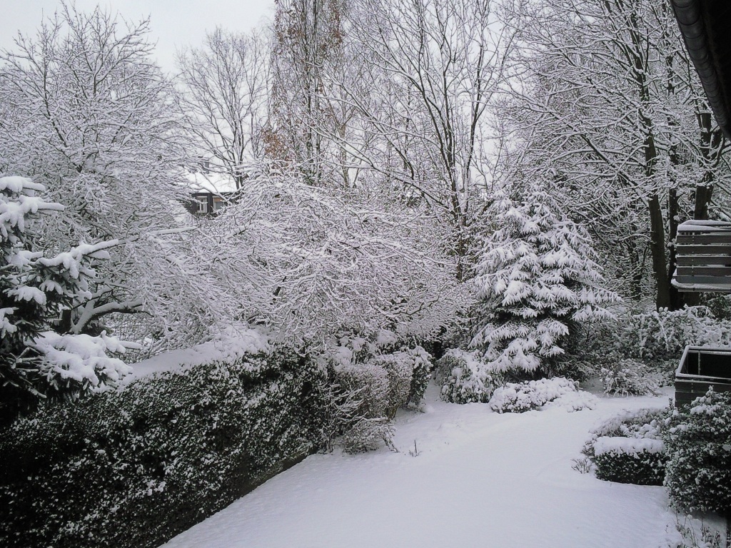 Schnee Essen Schnee Essen