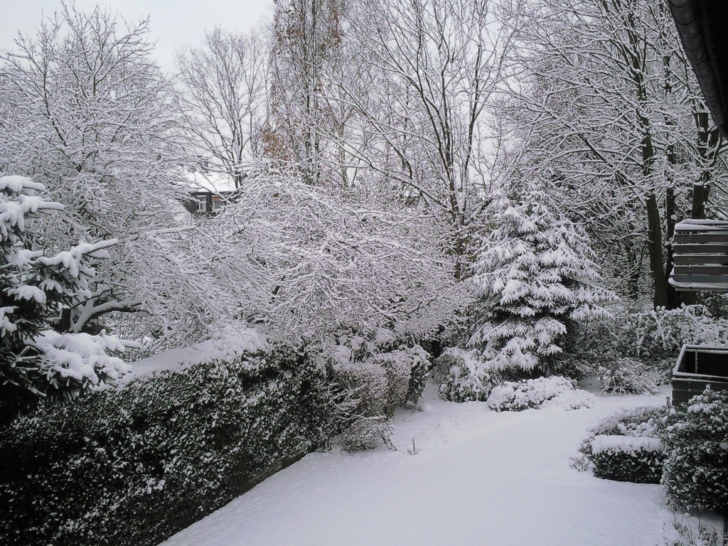 Erster Schnee in Essen 2010