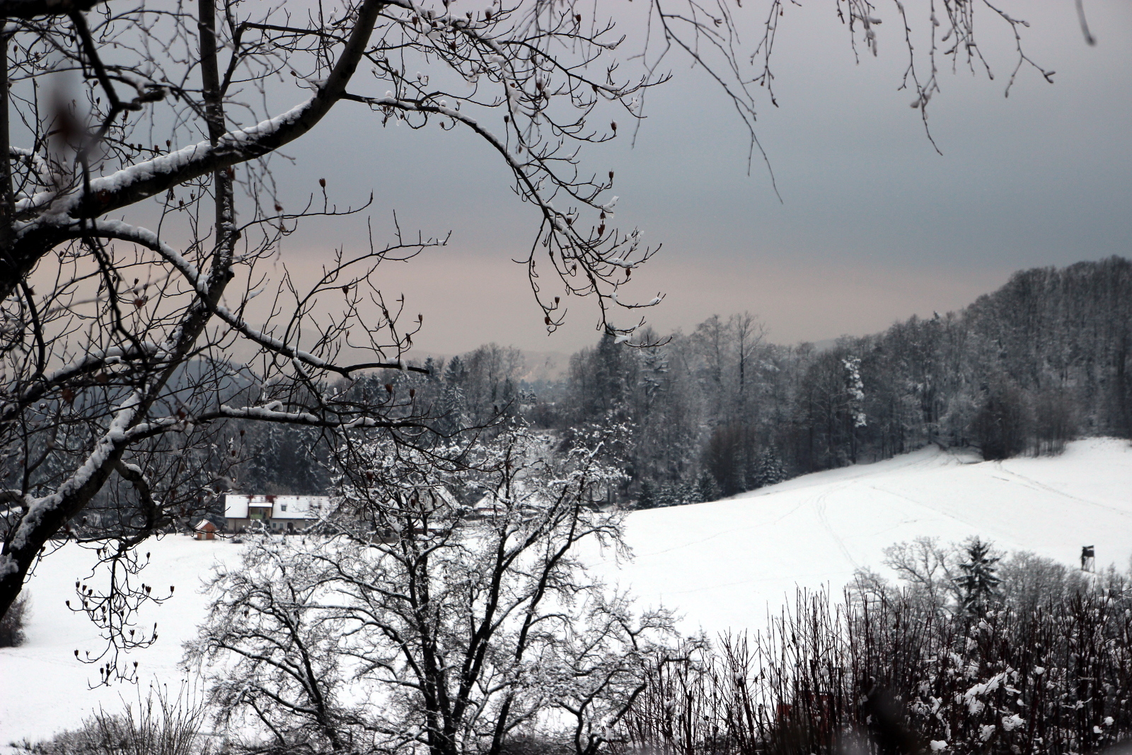 Erster Schnee in Graz :)