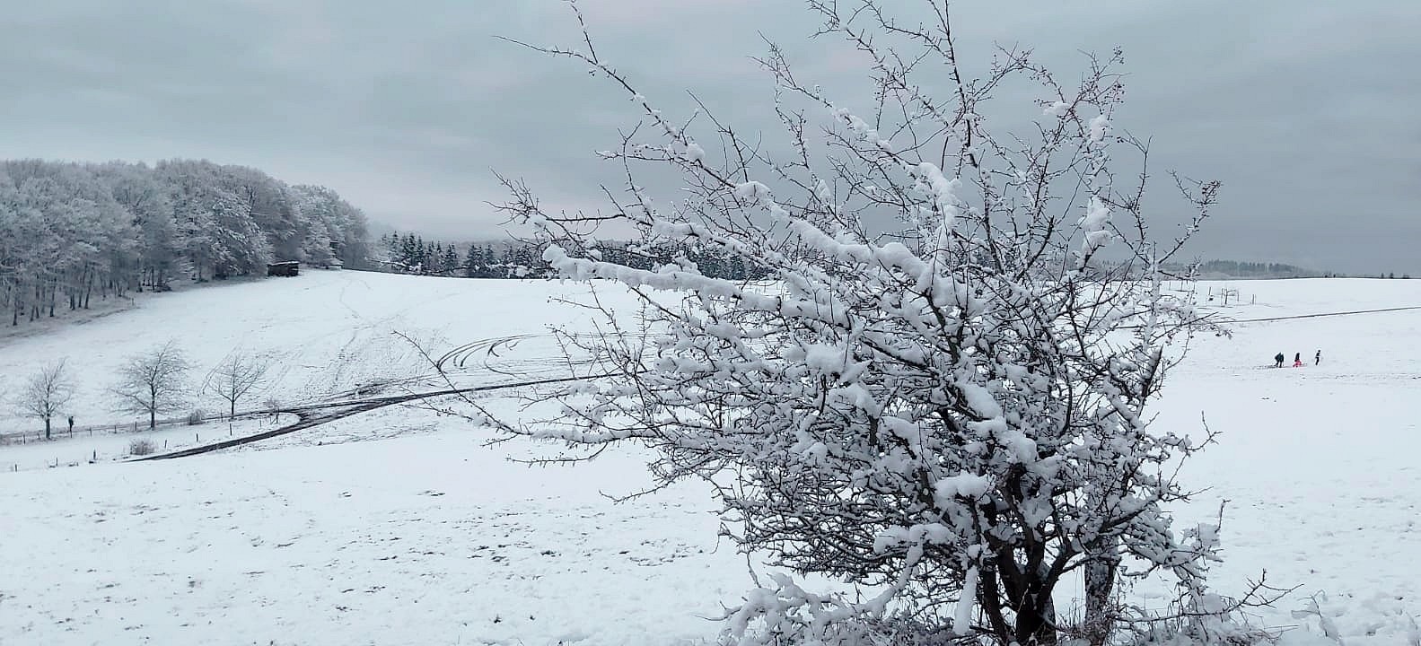 Erster Schnee in NRW (1)