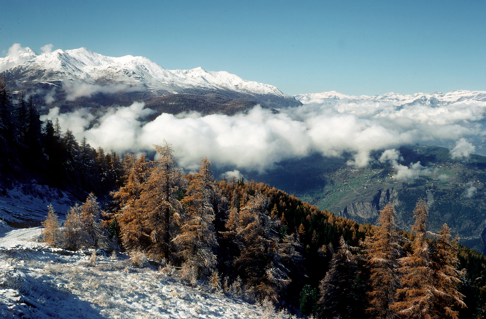 erster Schnee (ob Visperterminen, Wallis)