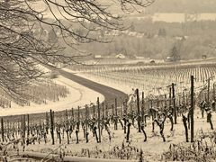 Erster Schnee über Heilbronn