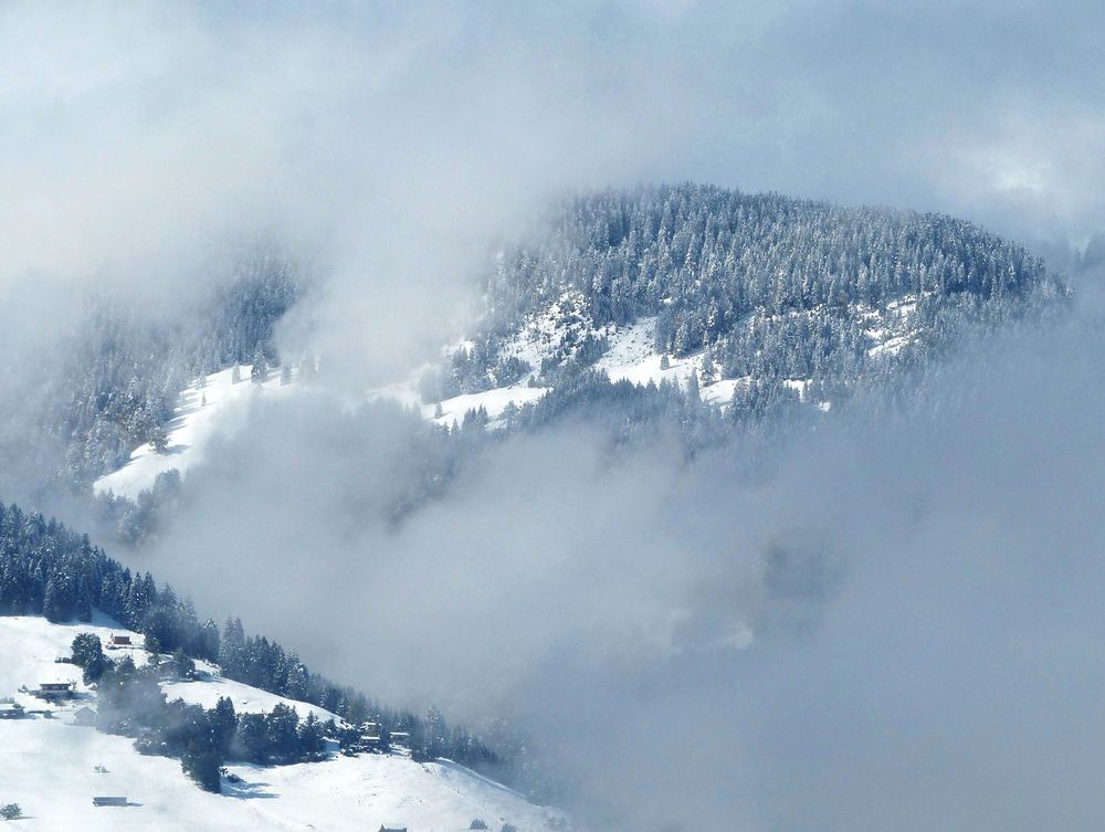 Erster Schnee - Überraschung hinter dem Nebelschleier