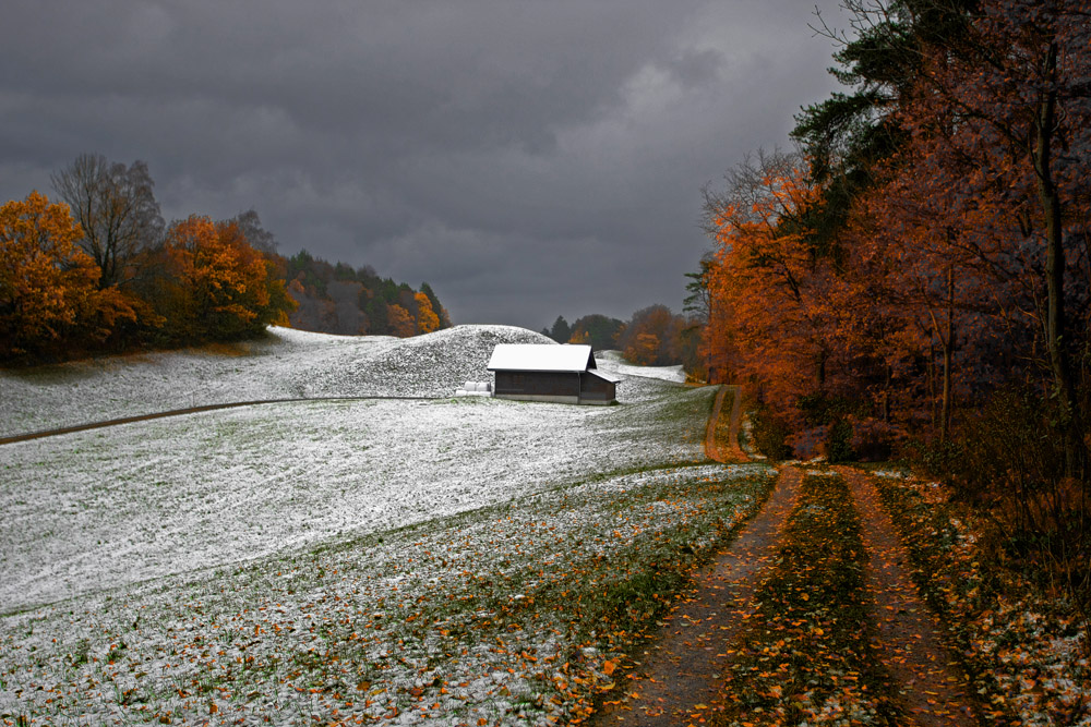 Erster Schnee und letztes Laub in der Meldegg (Version 1 - zuwenig scharf)