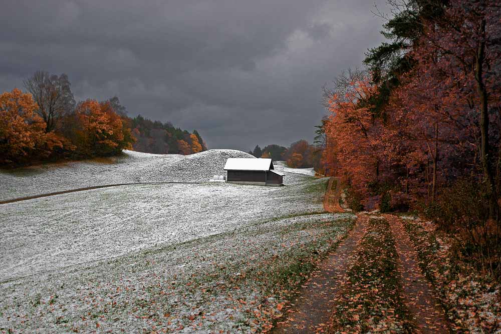 Erster Schnee und letztes Laub (Version 2 - mit Schärfenkorrektur)