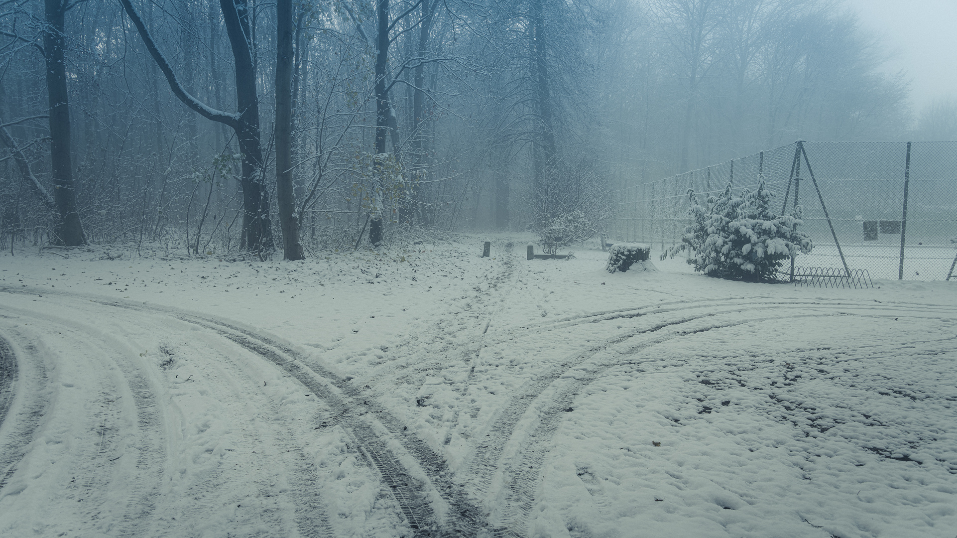 Erster Schnee und Nebel 