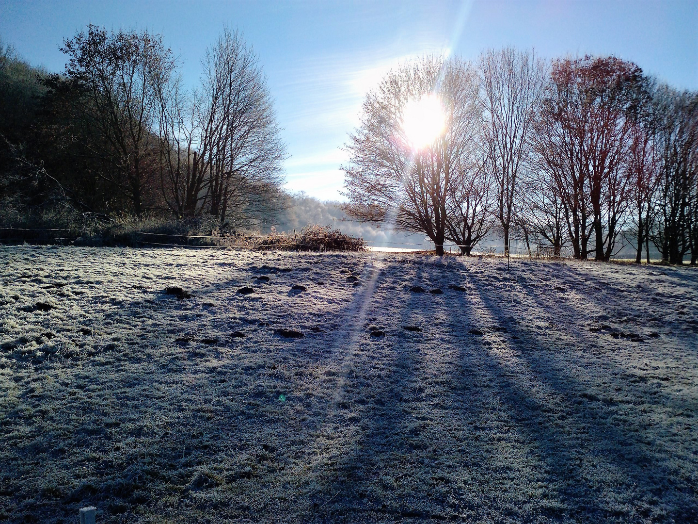 Erster Schnee vor dem Weihnachtsfest 2021 - Hiddesen bei Detmold