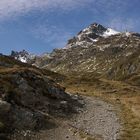 erster Schnee wie Puderzucker