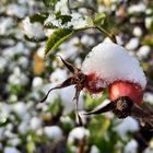 Erster Schnee zum Jahresende