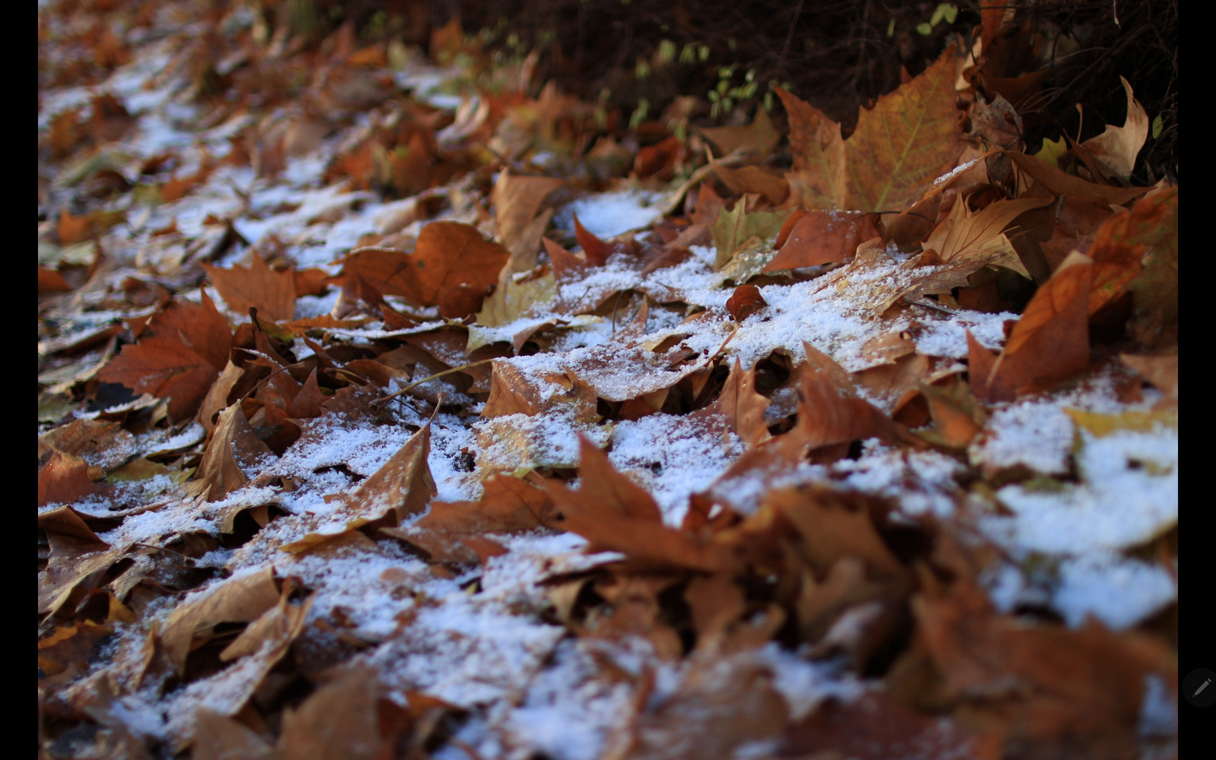 Erster Schneefall