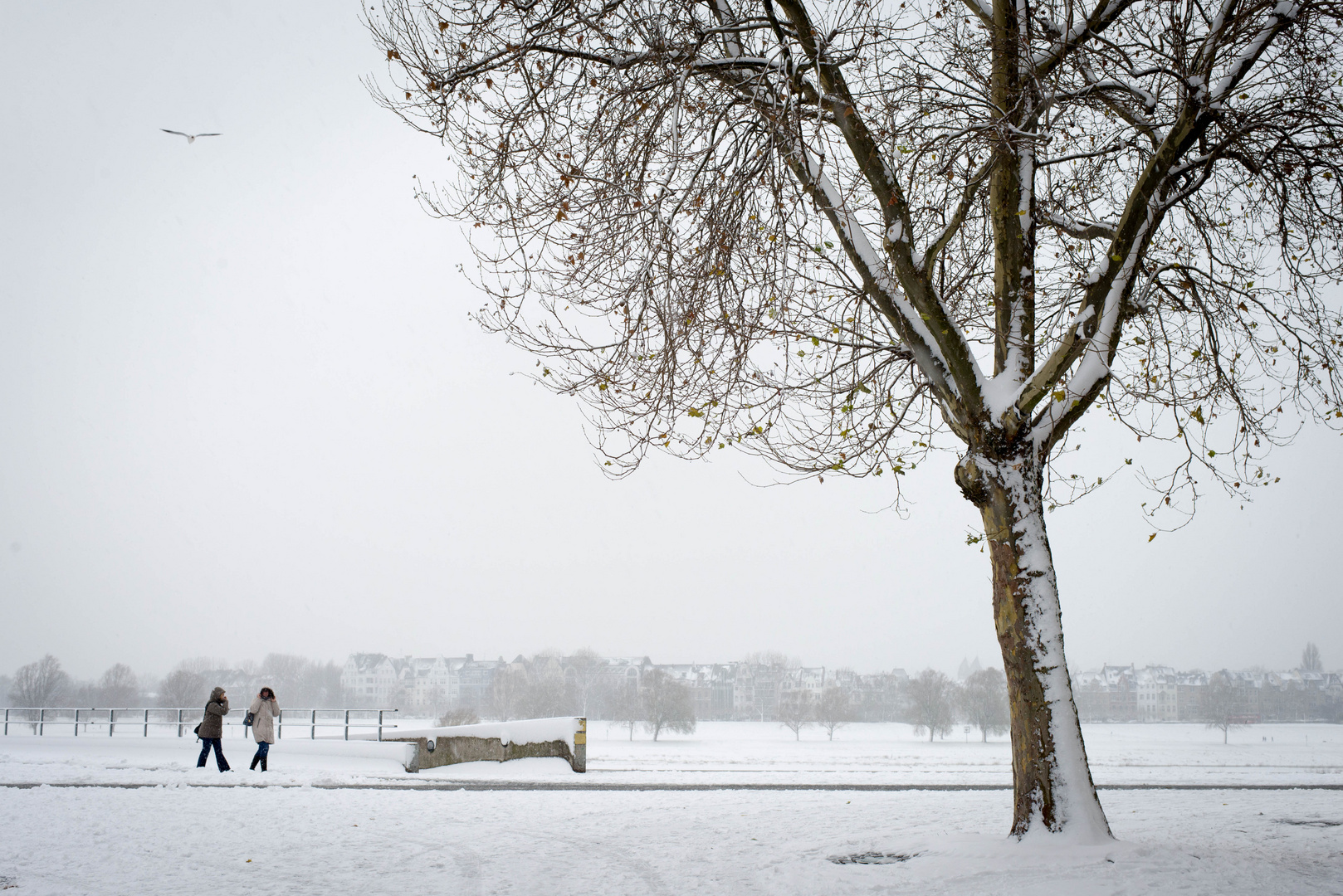 Erster Schneespaziergang