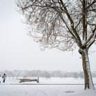 Erster Schneespaziergang