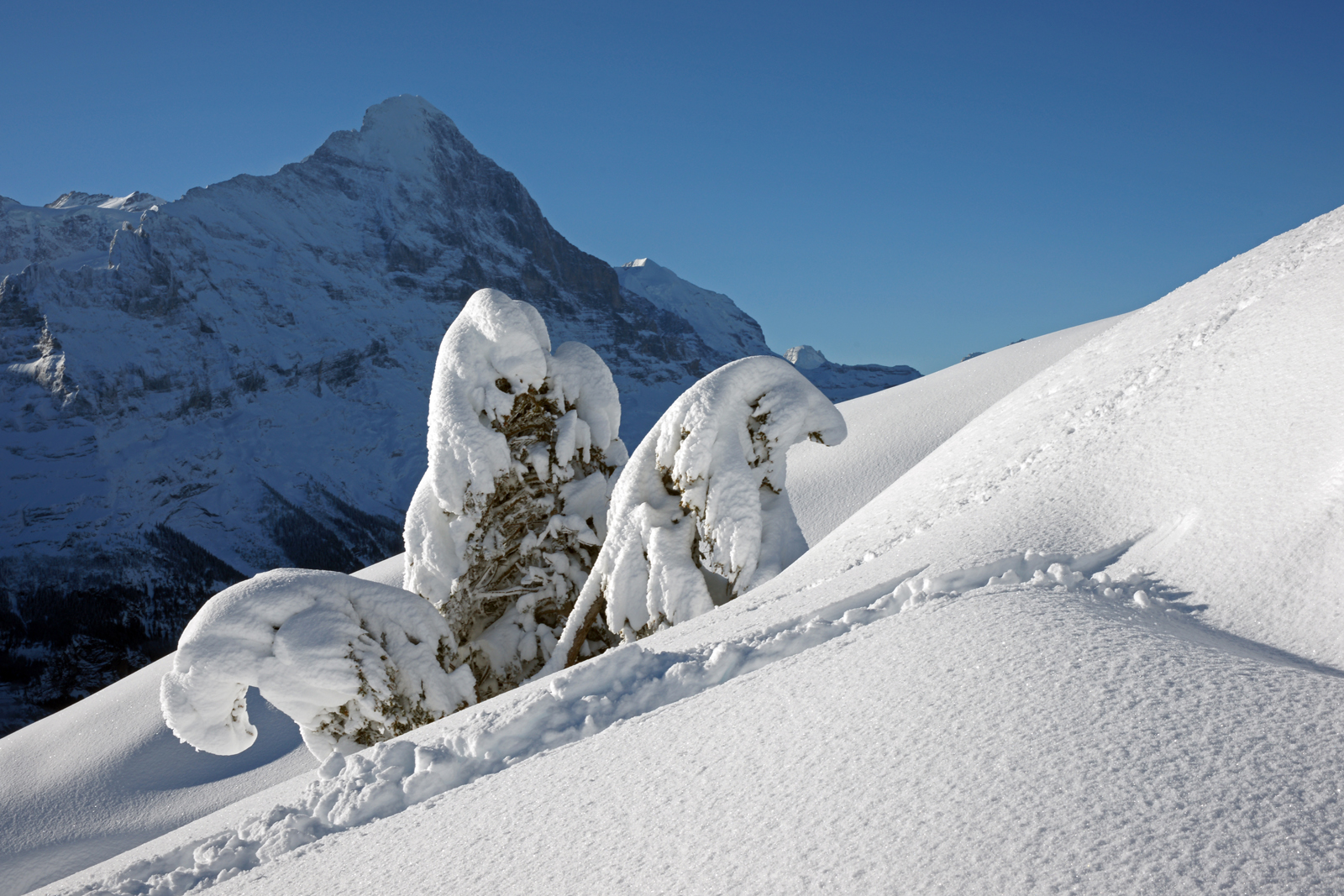 erster Skitag