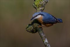 Erster Sonnenstrahl....