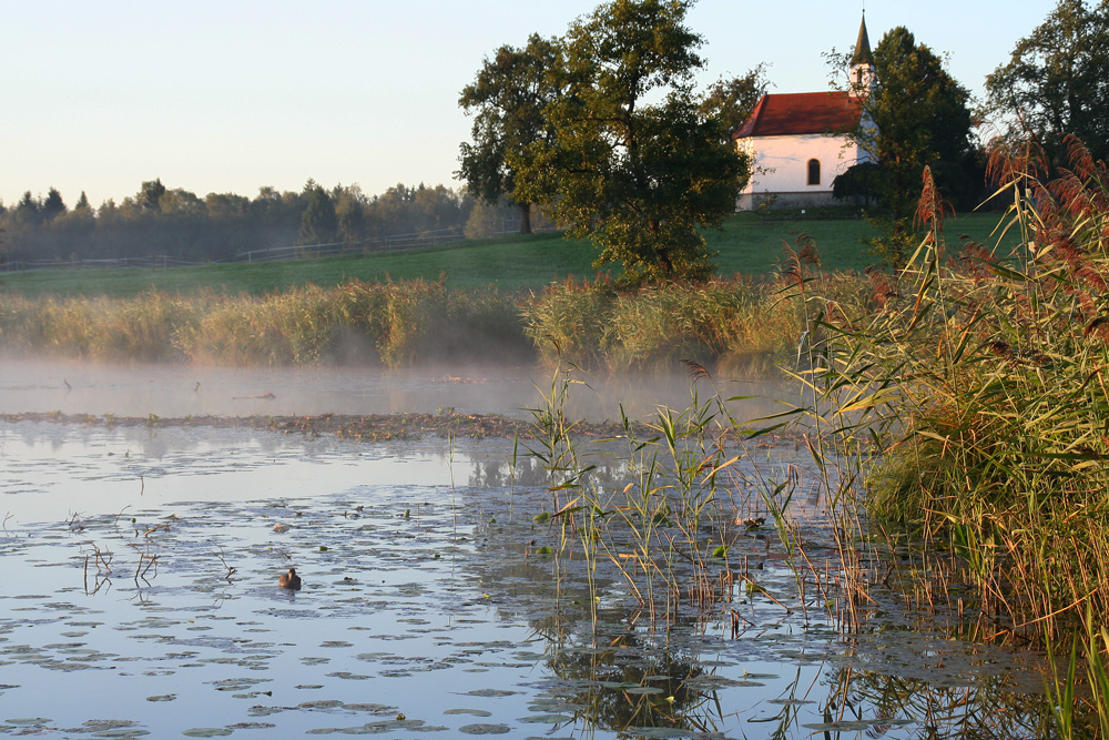 erster Sonnenstrahl