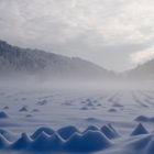 Erster Sonnentag nach dem ''grossen Schnee''