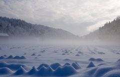 Erster Sonnentag nach dem ''grossen Schnee''