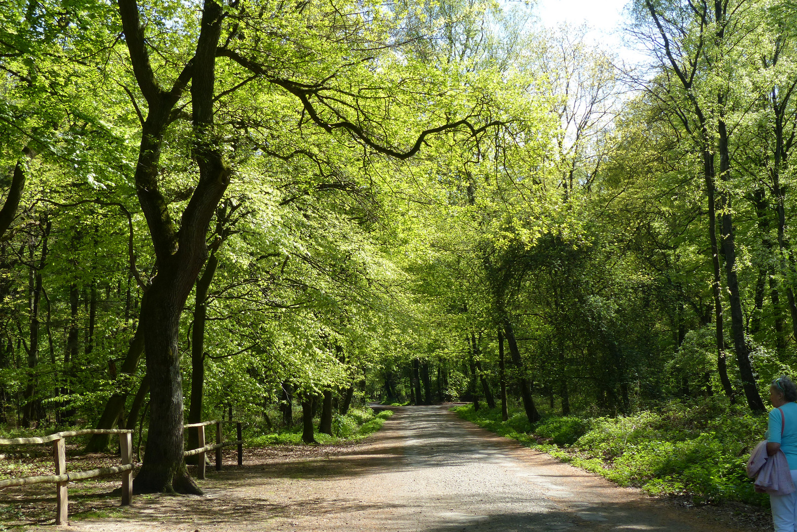 erster Spaziergang im Frühling