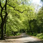 erster Spaziergang im Frühling