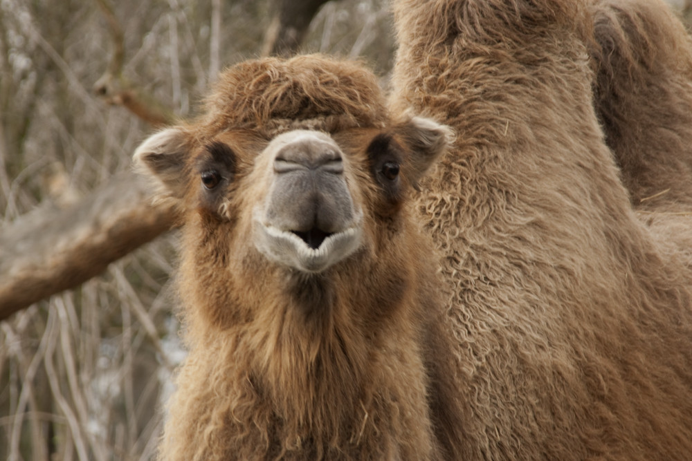 Erster Tag im Kölner Zoo