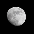 Erster Versuch - Mond vom 08.03.09