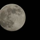 erster versuch Volmond mit Kanica Minolta Dynax 7 D