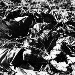 Erster Weltkrieg 12: Das Grauen auf dem Schlachtfeld