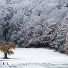 Erster Wintergruß 2016